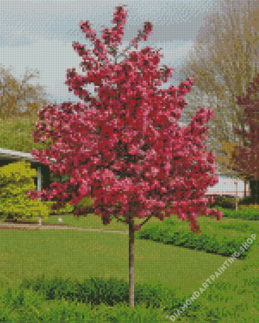 Crabapple Tree Diamond Paintings