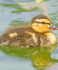 Duckling Bird Diamond Paintings