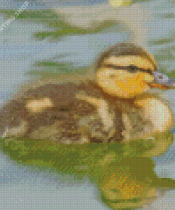 Duckling Bird Diamond Paintings