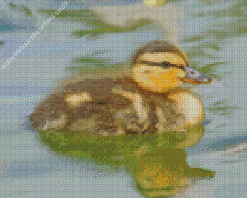 Duckling Bird Diamond Paintings