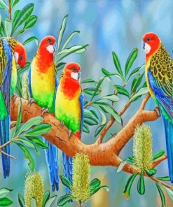 Eastern Rosella Birds Diamond Paintings