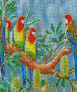 Eastern Rosella Birds Diamond Paintings