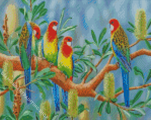 Eastern Rosella Birds Diamond Paintings