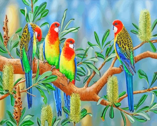 Eastern Rosella Birds Diamond Paintings