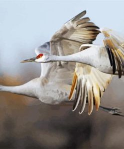 Sandhill Crane Diamond Paintings