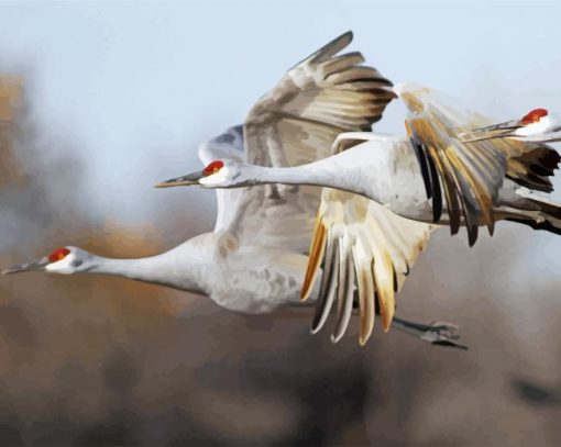 Sandhill Crane Diamond Paintings