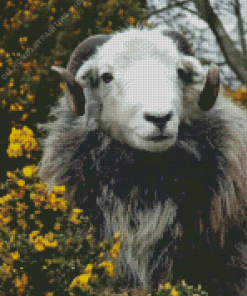 Herdwick Animal Diamond Paintings