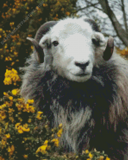 Herdwick Animal Diamond Paintings