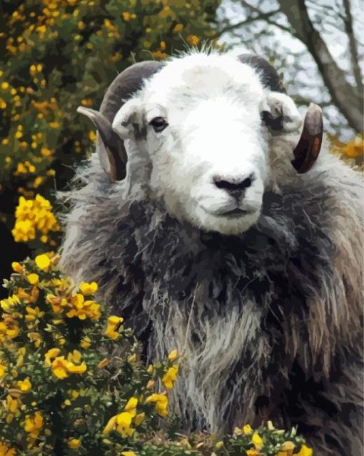 Herdwick Animal Diamond Paintings