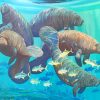 Manatees And Fish Diamond Paintings