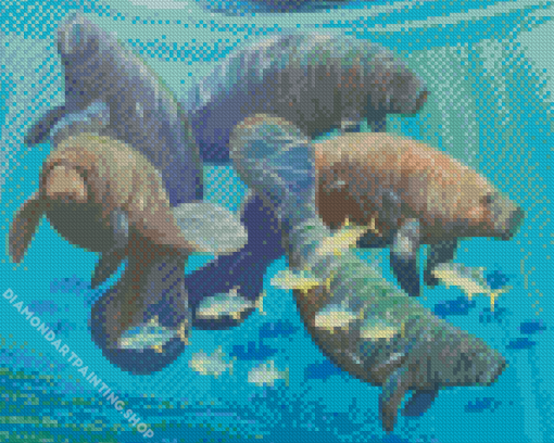 Manatees And Fish Diamond Paintings