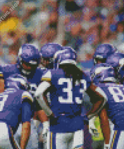 Minnesota Vikings Team Diamond Paintings