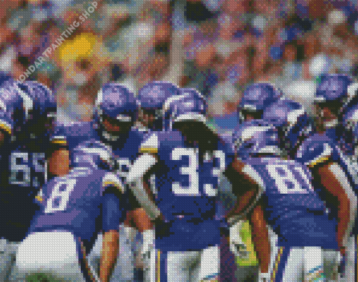 Minnesota Vikings Team Diamond Paintings