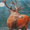 Red Deer Diamond Paintings