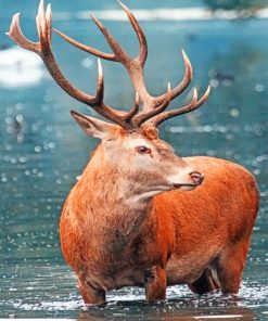 Red Deer Diamond Paintings