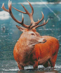 Red Deer Diamond Paintings