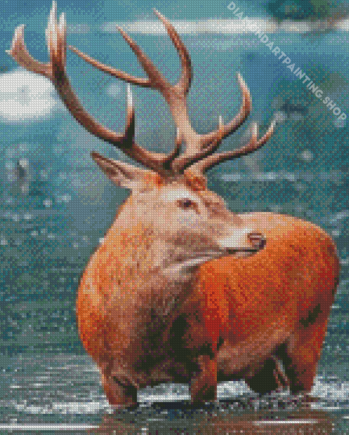 Red Deer Diamond Paintings