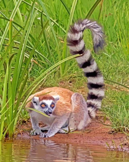 Ring Tailed Lemur Diamond Paintings