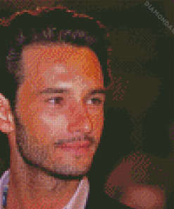 Rodrigo Santoro Actor Diamond Paintings