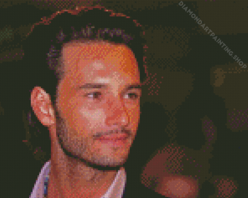 Rodrigo Santoro Actor Diamond Paintings