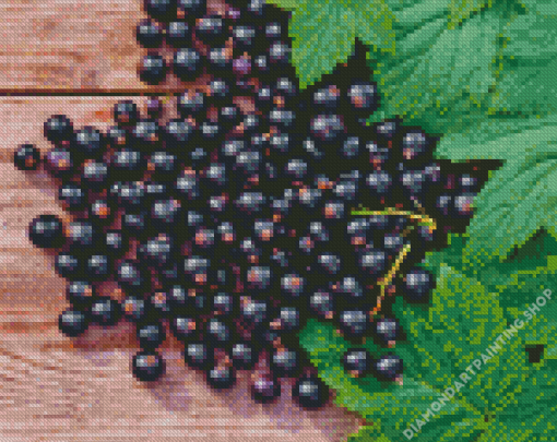 Blackcurrant Fruit Diamond Paintings