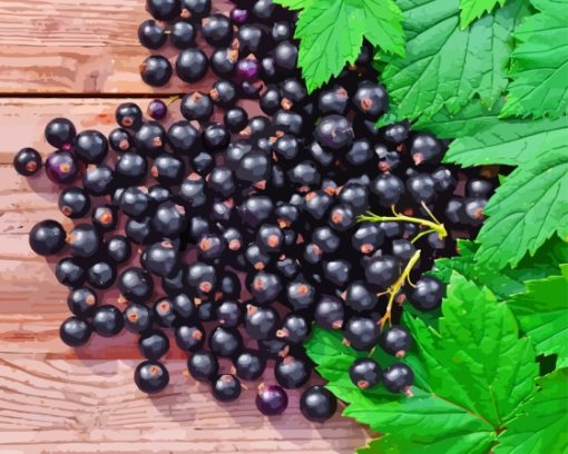 Blackcurrant Fruit Diamond Paintings