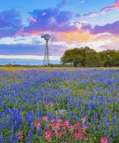 Texas Bluebonnets Flowers Diamond Paintings