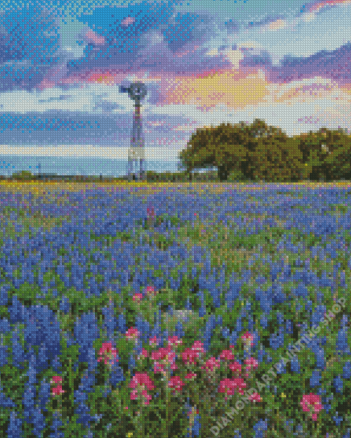 Texas Bluebonnets Flowers Diamond Paintings