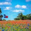 Texas Bluebonnets Field Diamond Paintings