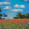 Texas Bluebonnets Field Diamond Paintings