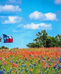 Texas Bluebonnets Field Diamond Paintings