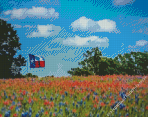 Texas Bluebonnets Field Diamond Paintings