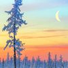 Winter Scenery Diamond Paintings