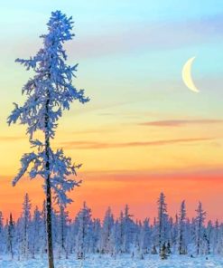 Winter Scenery Diamond Paintings