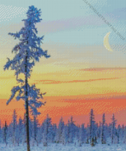 Winter Scenery Diamond Paintings