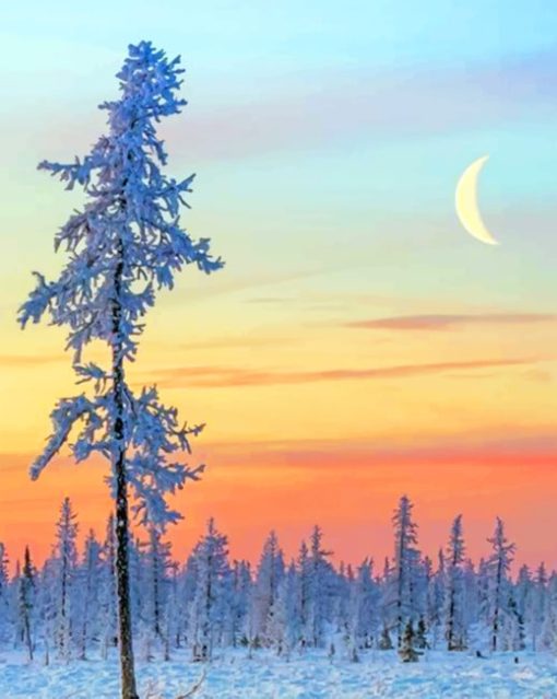 Winter Scenery Diamond Paintings