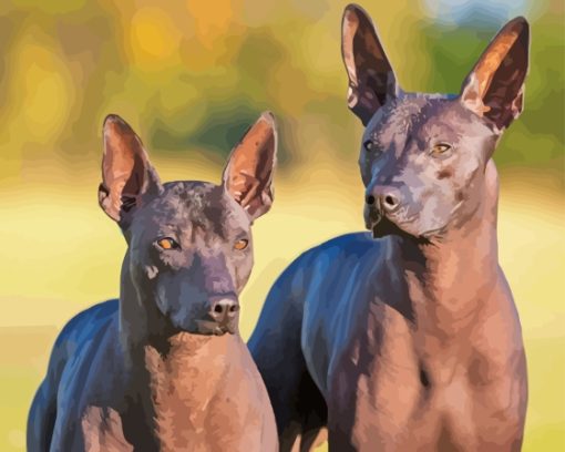 Mexican Hairless Dog Diamond Paintings