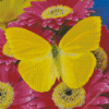 Yellow Butterfly Diamond Paintings