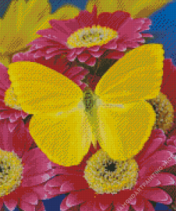 Yellow Butterfly Diamond Paintings