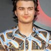 Aesthetic Joe Keery Diamond Paintings