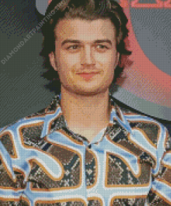 Aesthetic Joe Keery Diamond Paintings