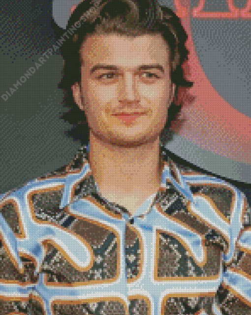 Aesthetic Joe Keery Diamond Paintings