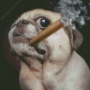 Pug With Cigar Diamond Paintings