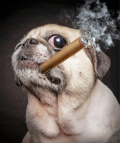 Pug With Cigar Diamond Paintings