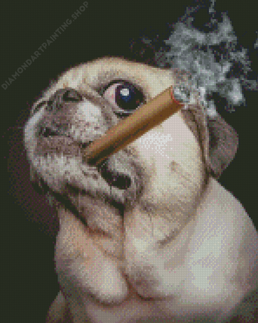 Pug With Cigar Diamond Paintings