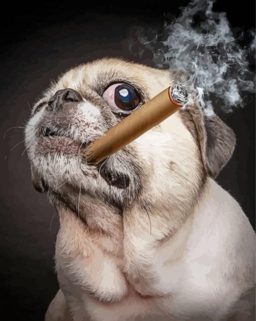 Pug With Cigar Diamond Paintings