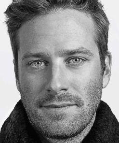 Armie Hammer Diamond Paintings