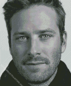 Armie Hammer Diamond Paintings