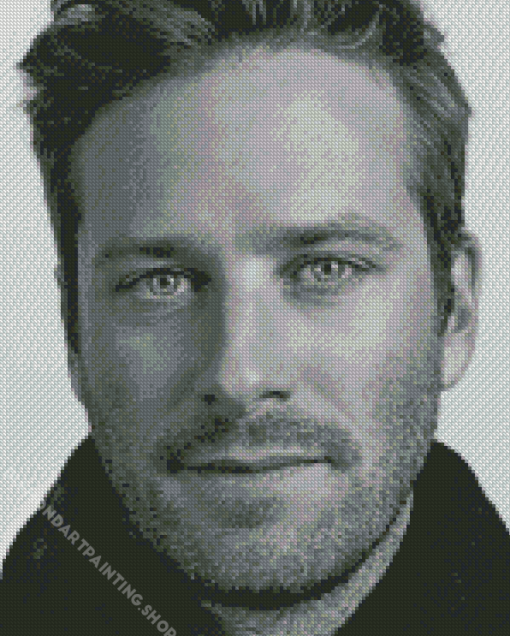 Armie Hammer Diamond Paintings