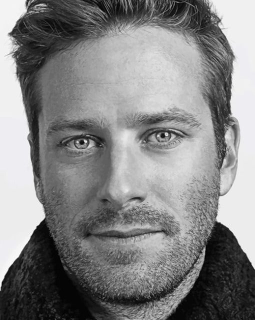 Armie Hammer Diamond Paintings